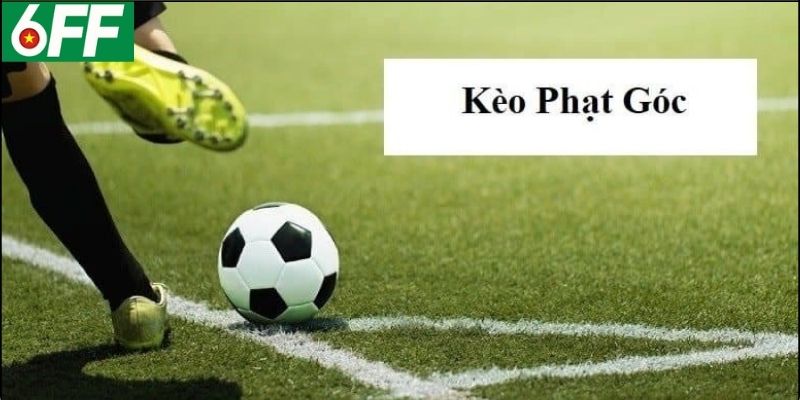 Cách đọc kèo phạt góc chuẩn xác