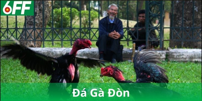 Nguồn Gốc Và Lịch Sử Của Đá Gà Đòn